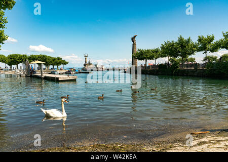 Konstanz, BW/Deutschland - vom 14. Juli 2019: Blick auf den Hafen und den Seepark in Konstanz mit Enten und Schwan im Vordergrund Stockfoto