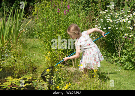 Junge Mädchen in der hübschen Kleid, drei Jahre alt, Teich tauchen, fang Teich leben, Kaulquappen, libellelarven im Netz, Garten Tiere Teich, Großbritannien, Juli Stockfoto