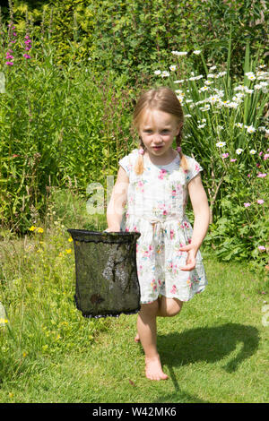 Junge Mädchen in der hübschen Kleid, drei Jahre alt, Teich tauchen, fang Teich leben, Kaulquappen, libellelarven im Netz, Garten Tiere Teich, Großbritannien, Juli Stockfoto