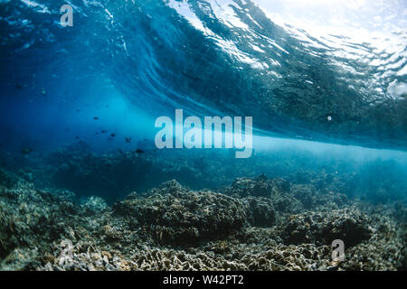 Unterwasser Welle bricht auf einem Korallenriff Stockfoto