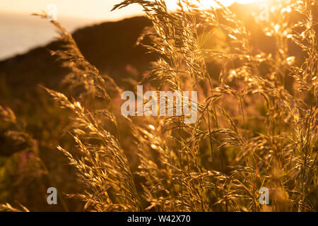 Sonnenuntergang am South Stack auf der Insel Anglesey, Wales UK Stockfoto