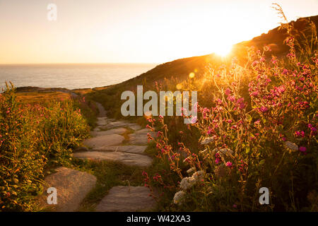 Sonnenuntergang am South Stack auf der Insel Anglesey, Wales UK Stockfoto