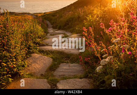 Sonnenuntergang am South Stack auf der Insel Anglesey, Wales UK Stockfoto