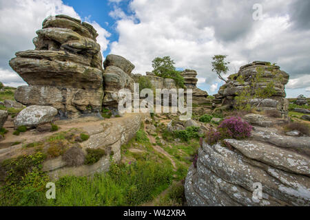 Brimham Rocks in den Yorkshire Dales Stockfoto