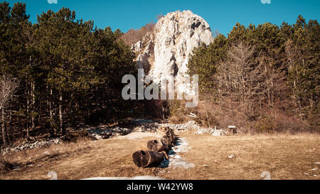 Querformat von Holz- Bewässerung trog Wiese mit trockenem Gras. Grünen Wald und einem großen Felsen im Hintergrund. Korita, Kroatien, Europa. Stockfoto