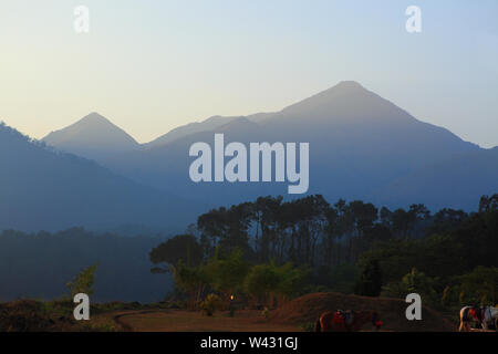 Banaura Hügel, Wayanad, Kerala Stockfoto
