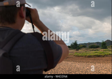 Bush Spaziergänge in der Fernbedienung Pafuri Region im äußersten Norden von Kruger National Park, Limpopo, Südafrika, ist ein Favorit unter den vielen Safari gehen Touristen Stockfoto