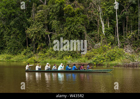 Touristen in einer langen Kanu Stil boaton See Condenado, oxbow See im Dschungel in der Nähe des Flusses Tambopata, Amazonas, Peru, Südamerika Stockfoto