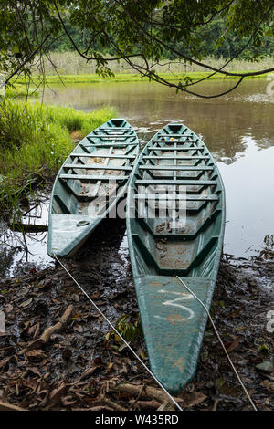 Lange Kanu stil Boote am Lago Condenado, oxbow See im Dschungel in der Nähe des Flusses Tambopata, Amazonas, Peru, Südamerika Stockfoto