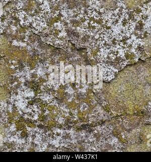 Fotorealistische nahtlose Textur muster der bunten abblätternde Farbe auf konkreten Wände Stockfoto