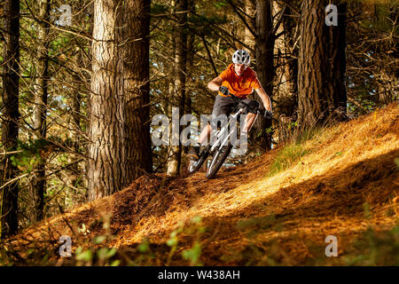 Ein Mann reitet ein Mountainbike durch einen dichten Wald von Pinien. Stockfoto