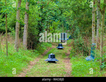 Zuführungen für Fasane, Rebhühner und federwild von einem wildhüter verwendet saß in einer Fütterung Reiten im Wald auf einem traditionellen Immobilien schießen in England Stockfoto