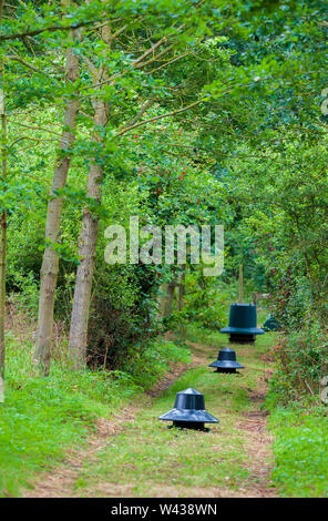 Zuführungen für Fasane, Rebhühner und federwild von einem wildhüter verwendet saß in einer Fütterung Reiten im Wald auf einem traditionellen Immobilien schießen in England Stockfoto