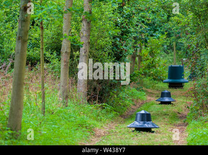 Zuführungen für Fasane, Rebhühner und federwild von einem wildhüter verwendet saß in einer Fütterung Reiten im Wald auf einem traditionellen Immobilien schießen in England Stockfoto