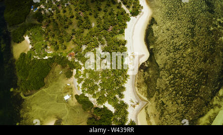 Tropischen Sandstrand mit Palmen und blaues Wasser, Ansicht von oben. Sommer und Reisen Urlaub Konzept. Siargao, Philippinen. Stockfoto