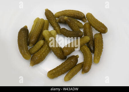 Mini Gewürzgurken in Salzlake auf einer weißen Platte erhalten Stockfoto