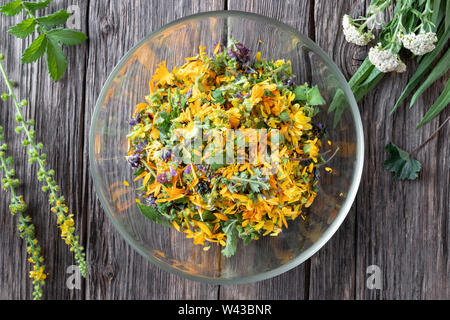 Cut-up Heilpflanzen in einer Glasschale, mit agrimony, Spitzwegerich und Schafgarbe im Hintergrund Stockfoto