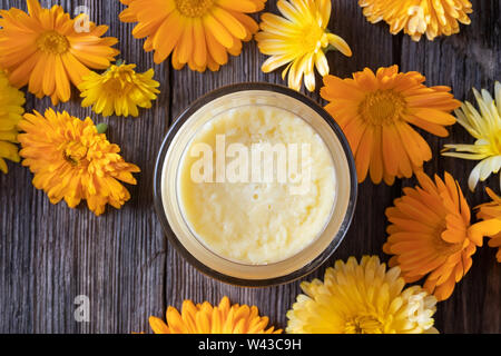 Hausgemachte Salbe vom Shea Butter und frischem calendula Blüten erfolgen, Ansicht von oben Stockfoto