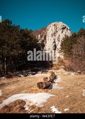 Querformat von Holz- Bewässerung trog Wiese mit trockenem Gras. Grünen Wald und einem großen Felsen im Hintergrund. Korita, Kroatien, Europa. Stockfoto