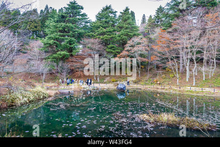 Kobe, Japan - 25 November 2018: Touristen Wandern auf einem Weg in der Nähe von grossen Teich innen Rokko alpinen botanischen Garten im Herbst. Bäume ab Colo zu ändern Stockfoto