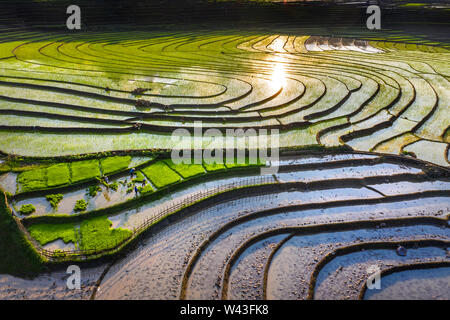 Wasser auf den Terrassen in der Nähe von Sapa, Lao Cai, Vietnam gleichen Weltkulturerbe Ifugao Reisterrassen in Batad, Northern Luzon, Philippinen. Stockfoto