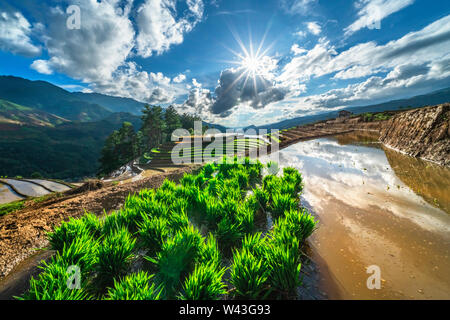 Reis und Wasser auf Terrassen Mu Cang Chai, Yen Bai, Vietnam gleichen Weltkulturerbe Ifugao Reisterrassen in Batad, Northern Luzon, Philippinen. Luftaufnahme Stockfoto