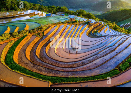 Reis und Wasser auf Terrassen Mu Cang Chai, Yen Bai, Vietnam gleichen Weltkulturerbe Ifugao Reisterrassen in Batad, Northern Luzon, Philippinen. Luftaufnahme Stockfoto