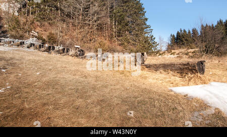 Querformat von Holz- Bewässerung trog Wiese mit trockenem Gras. Grünen Wald im Hintergrund. Korita, Istrien, Kroatien, Europa. Stockfoto