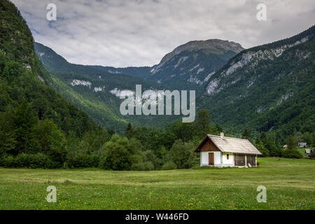 Landschaft Blick auf einen hölzernen ländliche Häuschen auf der grünen Wiese mit grünen Wald umgeben. Sommer in Bohinj, Stara Fuzina, Slowenien, Europa. Stockfoto