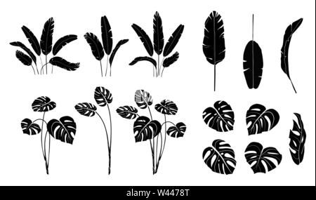 Der Vektor Banane, monstera, palmblättern auf weißem Hintergrund. Exotische tropische Pflanzen. Für Karte, Drucken, Tapeten, Pflanzen shop, Reisen Stock Vektor