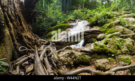 Wasserfälle in der Regenzeit, Nässe in der Regenzeit. Stockfoto