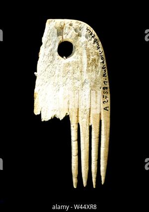 Kamm Fragment, Uhldingen-Muhlhofen, Maurach, Bodenseekreis, des 4. Jahrtausends v. Chr., mit Knochen Stockfoto