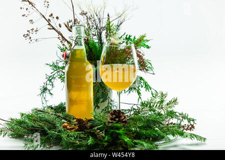 Eine Nahaufnahme von Kombucha, eine erfrischende Mischung aus grünem Tee, Pilze, und Zucker. Fermentiert und alkoholische Getränk auf einen weißen Hintergrund mit grünem Laub isoliert. Stockfoto