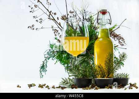 Kombucha wird in einem stammte aus Glas gesehen, mit pine Niederlassungen und einem flip top Flasche. Ein süßer Tee fermentiert mit Kombucha, homebrew trinken. Stockfoto