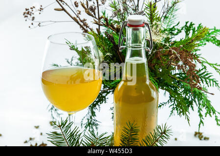 Kombucha wird in einem stammte aus Glas gesehen, mit pine Niederlassungen und einem luftdichten Flasche. Ein grüner Tee, gemischt mit chinesischen Pilzen & Zucker, hausgemachte trinken. Stockfoto