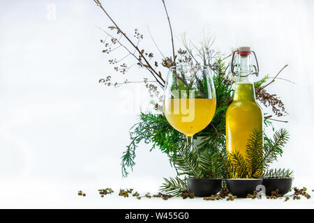 Kombucha wird in einem stammte aus Glas gesehen, mit pine Niederlassungen und einem flip top Flasche. Ein süßer Tee fermentiert mit Kombucha, homebrew Trinken Stockfoto