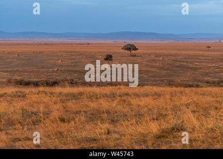 Wunderschöne Landschaften während der großen Migration Saison in Masai Mara triangle Stockfoto