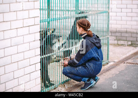 Mädchen ehrenamtlich im Kindergarten für Hunde. Schutz für streunende Hunde. Stockfoto