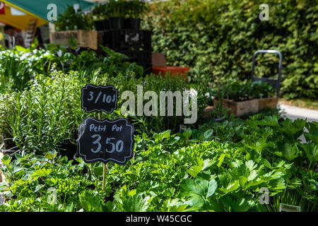 Eine hohe Betrachtungswinkel von Topfpflanzen essbare Pflanzen angezeigt auf landwirtschaftliche Messe Stall, Preisschilder und gesunden grünen Laub mit Raum für Kopieren auf der rechten Seite. Stockfoto