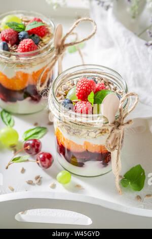 Hausgemachtes Müsli aus Joghurt und frischen Beeren Stockfoto