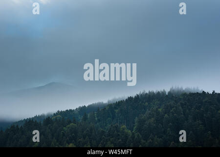 Deutschland, Tourismus Reiseziel für den Schwarzwald reisen im frühen Morgen neblige Atmosphäre Stockfoto