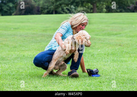 Northampton GROSSBRITANNIEN. Juli 2019 20. Wetter. Abington Park. Eine blonde Dame Spaß mit dem Hund auf dem morgendlichen Spaziergang, Prognose ist für Regen später am Tag. Credit: Keith J Smith./Alamy leben Nachrichten Stockfoto