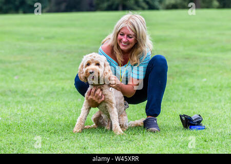 Northampton GROSSBRITANNIEN. Juli 2019 20. Wetter. Abington Park. Eine blonde Dame Spaß mit dem Hund auf dem morgendlichen Spaziergang, Prognose ist für Regen später am Tag. Credit: Keith J Smith./Alamy leben Nachrichten Stockfoto