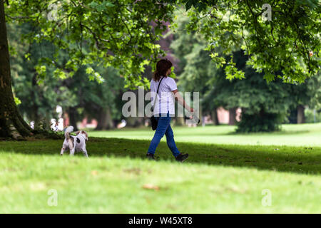 Northampton GROSSBRITANNIEN. Juli 2019 20. Wetter. Abington Park. Am frühen Morgen Spaziergang mit dem Hund, wie die Prognose ist für Regen später am Tag. Credit: Keith J Smith./Alamy leben Nachrichten Stockfoto