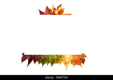 Rahmen bestehend aus bunten Herbstblättern über Weiß Stockfoto