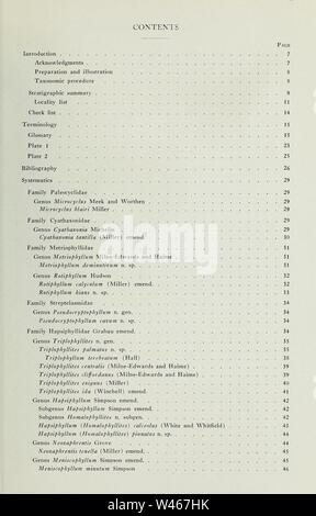 Korallen aus der Chouteau und ähnliche Formationen des Mississippi Valley Region Stockfoto