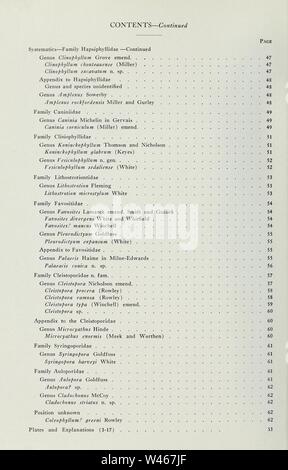 Korallen aus der Chouteau und ähnliche Formationen des Mississippi Valley Region Stockfoto