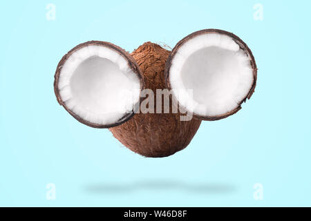 Hälften und ganze tropische Mutter mit palm leaf in Form einer Fläche auf einem blauen Hintergrund, Kokos Fang Stockfoto