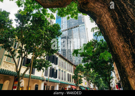 Grüne Bäume auf der Straße mit alten Gebäuden aus der Kolonialzeit gegen moderne Glasarchitektur in Singapur Stockfoto