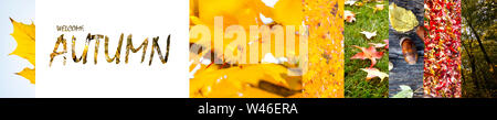 Willkommen herbst Inschrift über Blätter im Herbst Panoramablick Collage, Kreative Minimalismus Stockfoto